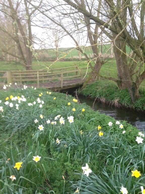Mill Cottage Malpas  Buitenkant foto